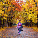 Autumn 2025 Best Destinations: Where to See the Season’s Magic Unfold