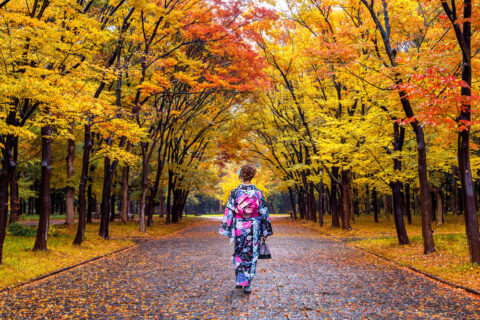 Autumn 2025 Best Destinations: Where to See the Season’s Magic Unfold